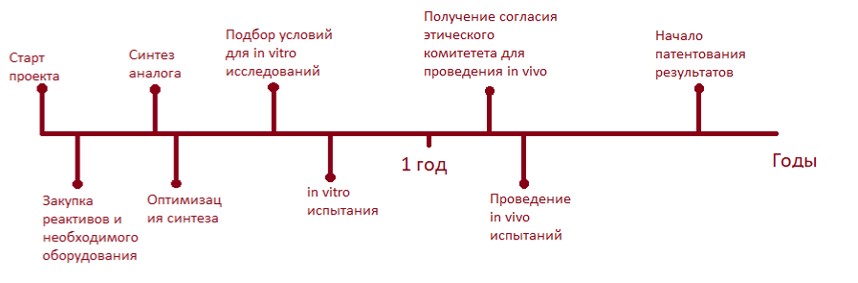 Этапы реализации проекта